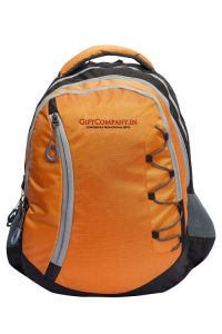 Leon Orange Backpack
