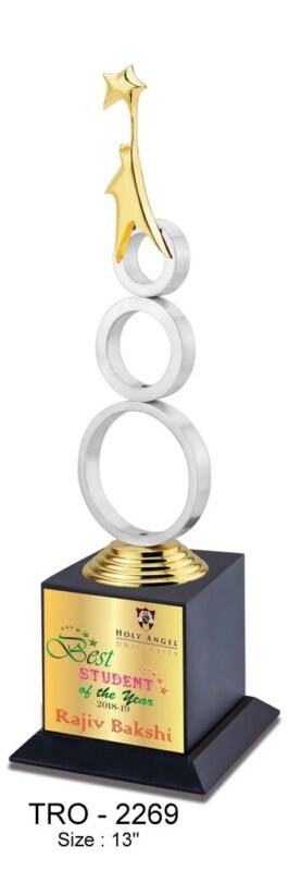 Star Performer Trophy  TRO - 2269