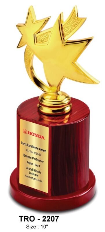 Metal Star Trophy TRO - 2207