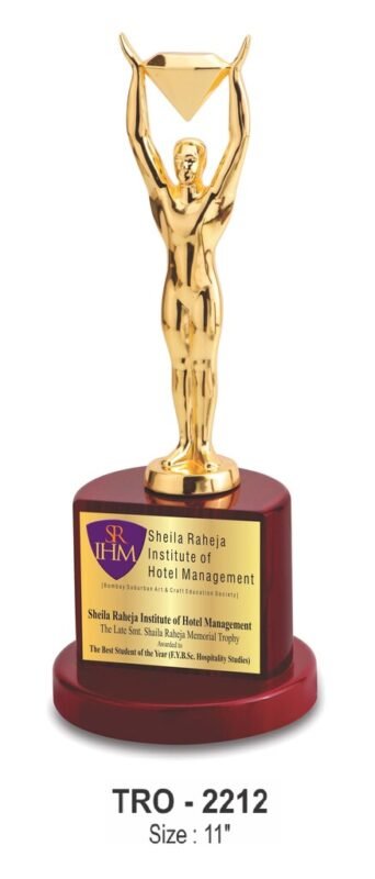 Man Holding Diamond Award Tophy TRO - 2212