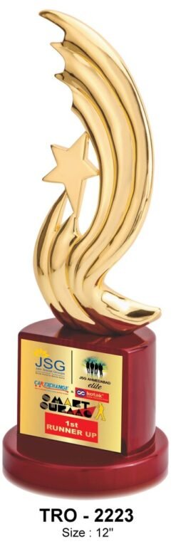 Premium Metal Star Trophy TRO - 2223