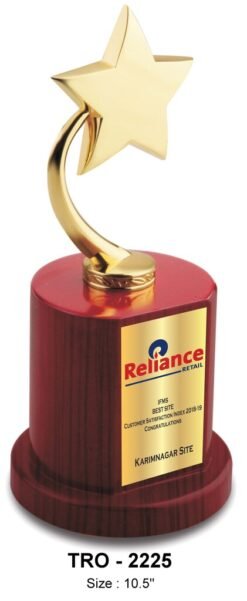 Premium Metal Star Trophy TRO - 2225