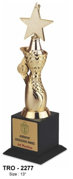 Star Designer Trophy TRO - 2277