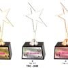 Corporate Star Trophy TRO - 2688 A,B,C