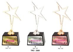 Corporate Star Trophy TRO - 2688 A,B,C
