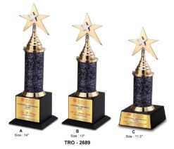 Corporate Designer Star Trophy TRO - 2689 A,B,C