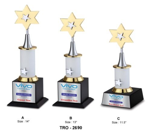 Corporate Designer Star Trophy TRO - 2690 A,B,C