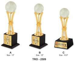 Corporate World Globe Trophy TRO - 2509 A,B,C