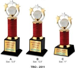 Corporate 3 Star With World Globe Trophy TRO - 2511 A,B,C