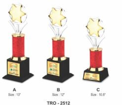 Ring With Star Trophy TRO - 2512 A,B,C