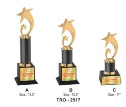 Corporate Shining Star Trophy TRO - 2517 A,B,C