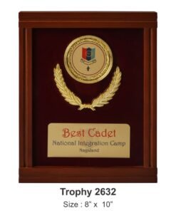 Personalized Medal Display Plaque TRO - 2632
