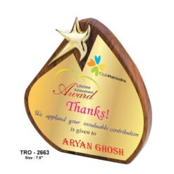 Designer Wooden Plaque With Star TRO - 2663