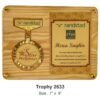 Display Plaque With Medal & Certificate TRO - 2633