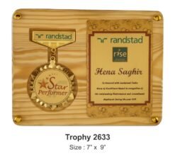 Display Plaque With Medal & Certificate TRO - 2633