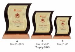 Corporate Wave Shape Golden Plate Plaque TRO - 2643