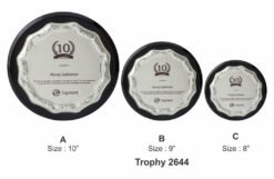 Silver Shield Plaque With 3 Diff Size TRO - 2644