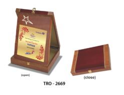 Wooden  Star Plaque With Box TRO - 2669