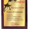3 Star Wooden Plaque TRO - 2559 1 1634556717189