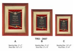 Corporate Golden Metal Plate Plaque / Memento TRO - 2607 A B C