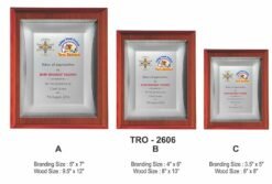 Corporate Silver Metal Plate Plaque / Memento TRO - 2606 A B C