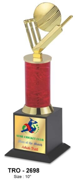Cricket Trophy  TRO - 2698