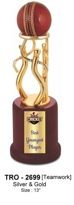 Cricket Teamwork Trophy TRO - 2699