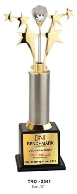 6 Star With Crystal Ball Trophy TRO - 2541