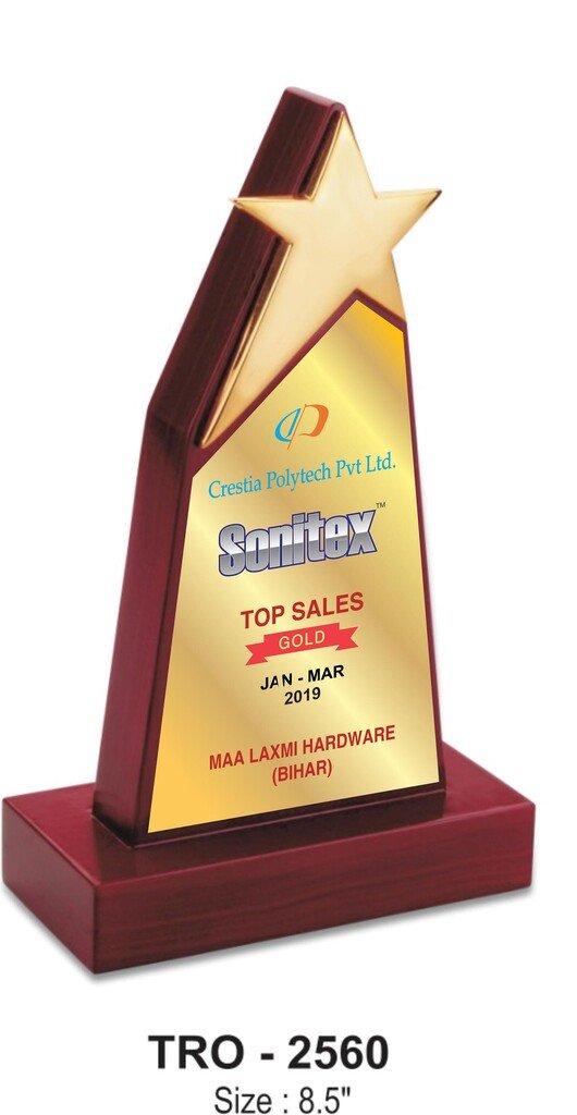 Star Performer Trophy TRO - 2560 3 Star Performer Trophy TRO - 2560