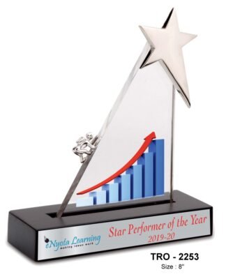 Star Performer Trophy  TRO - 2253