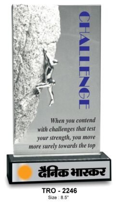Best  Achievers Trophy TRO - 2246