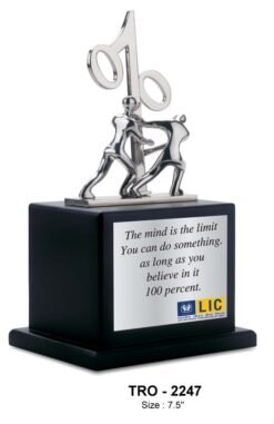 Inspirational Trophy TRO - 2247