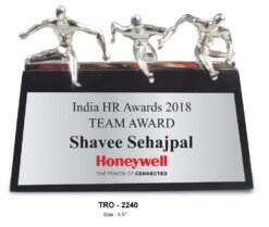 Inspirational Team Work Trophy TRO - 2240