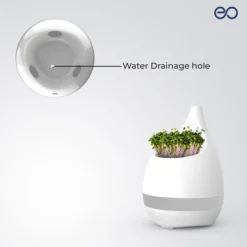 Sprout A Planter for all Places