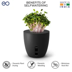 Terra -Plant Pot