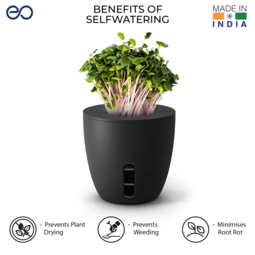 Terra -Plant Pot