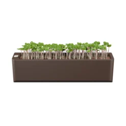 Terrarium - Self Watering Plant Pot