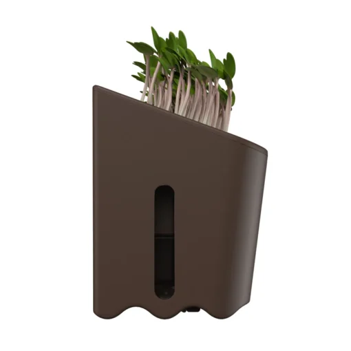 Terrarium - Self Watering Plant Pot 4 Terrarium - Self Watering Plant Pot