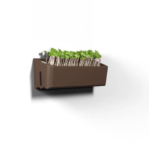 Terrarium - Self Watering Plant Pot 7 Terrarium - Self Watering Plant Pot