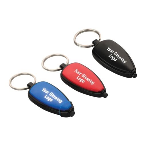 Logo highlight keychain (white backlight) J114