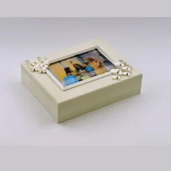 Butterfly Silver Box on Wood