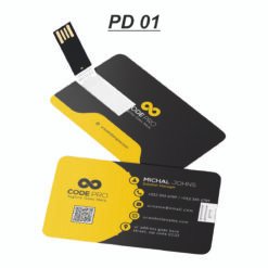 Card shape Pen Drive PD 01