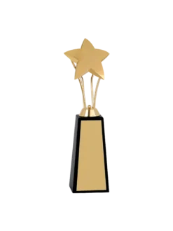 Star Wooden base Trophy GCZ 1016