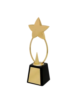 Star with a Triangle GCZ 1018