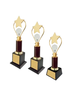 Crystal Sphere and Star Trophy GCZ 1072