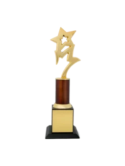 One full and another half Star Trophy GCZ 1087