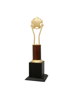 Star resting on the Golden strands Trophy GCZ 1103