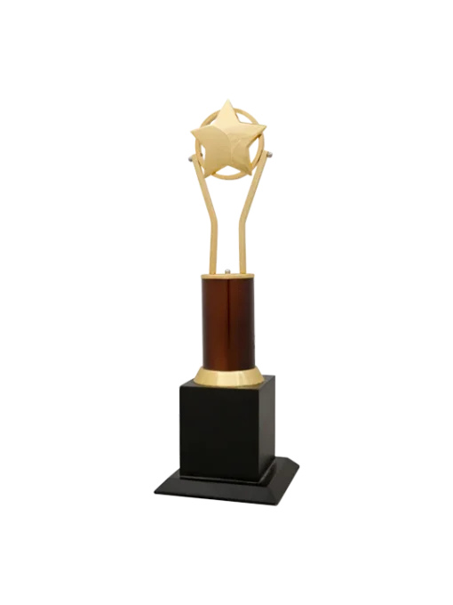 Star resting on the Golden strands Trophy GCZ 1103