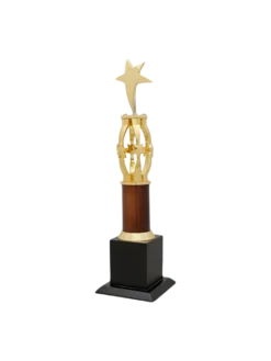 Four pillars holding a Star Trophy GCZ 1107