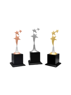 3 stars Trophy GCZ 1110